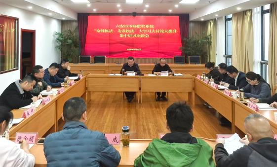 六安市市场监管局开展“为何执法、为谁执法”大学习大讨论大提升
集中研讨活动